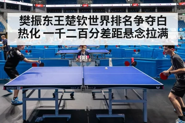 樊振东王楚钦世界排名争夺白热化 一千二百分差距悬念拉满